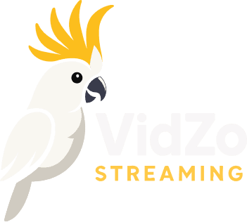 Vidzo