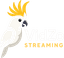 Vidzo